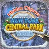 Central Park New York Winter App Icon