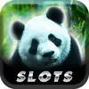 Big Slots App Icon