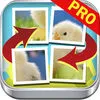 Baby Animal Puzzle Slide Picture Games Pro Edition