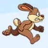 Sheldon The Little Bunny Wild Life Adventure App icon