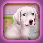 Labrador Puppy Day Care App Icon
