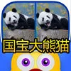 Find out the differences  Panda of china