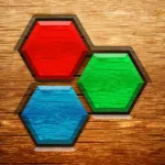 Hexa Wood Block Puzzle! App icon