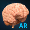 AnatomyAR plus for Merge Cube iOS icon