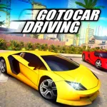 Go To Car Driving ios icon