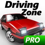 Driving Zone Japan Pro