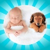 Baby Animal Wheel App icon
