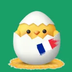 Chick - Learn French App Icon