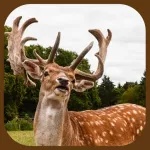 Extreme Stag Simulator 3D App Icon