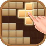 Wood Puzzle Game ios icon