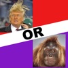 Trump or Monkey iOS icon