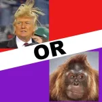Trump or Monkey App icon