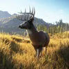 Deer Hunting: Sniper 2018 App Icon