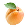 Fruit Fragments App Icon