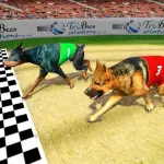 Dog Racing Tournament 2018 App icon