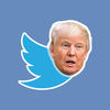 Trump or Not! App Icon