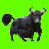 Feed The Yak App Icon