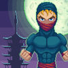 The Best Ninja iOS icon