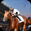 Extreme Horse Racing Adventure App Icon