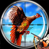 Pheasant Bird Hunting 3d iOS icon