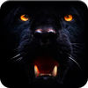Black Panther Safari Hunting App Icon