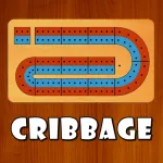 Cribbage JD ios icon