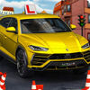 Car Driving Test Skill iOS icon