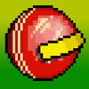 Sandy Balls Cricket App Icon