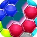Physical Hexagons-Joy Puzzles App Icon