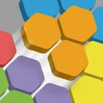 Fit Hexa App Icon