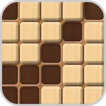Stone Block Hide Puzzle App Icon
