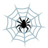Spider! iOS icon