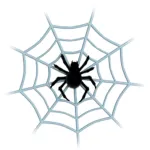 Spider! App icon