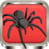Spider Solitaire Classic Cards App Icon