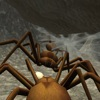 Spider Colony Simulator