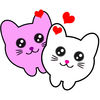 Love Rolling Cats iOS icon