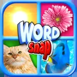 Word Snap  Brain Pic Games