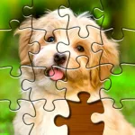 Jigsaw Puzzles Clash App icon