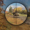 Forest Animal Shooting Sim App Icon
