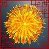 Fireworks App icon