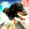 Hero Patrol: Puppy Farm App icon