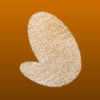 Flokkers iOS icon
