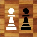 Magic Chess MR ios icon