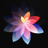 Live Wallpapers, Pic & Themes iOS icon