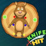 Knife color hit spinner App Icon