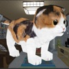 MyLittleCat iOS icon