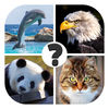 Animals quiz guess the animal