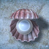Sea Shell Game App Icon