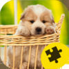 Cute Dogs Puppy Jigsaw Puzzle App Icon