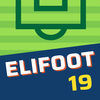 Elifoot 19 PRO ios icon